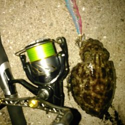 水温低下を告げるヤツ